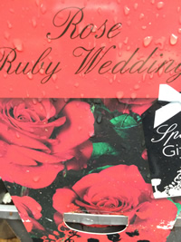Rose ~ Ruby Wedding